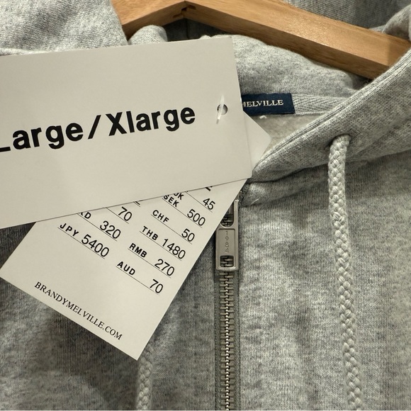 NWT Brandy Melville Christy Oversized Gray Zip Hoodie Sweatshirt Sz L/XL - Picture 6 of 9